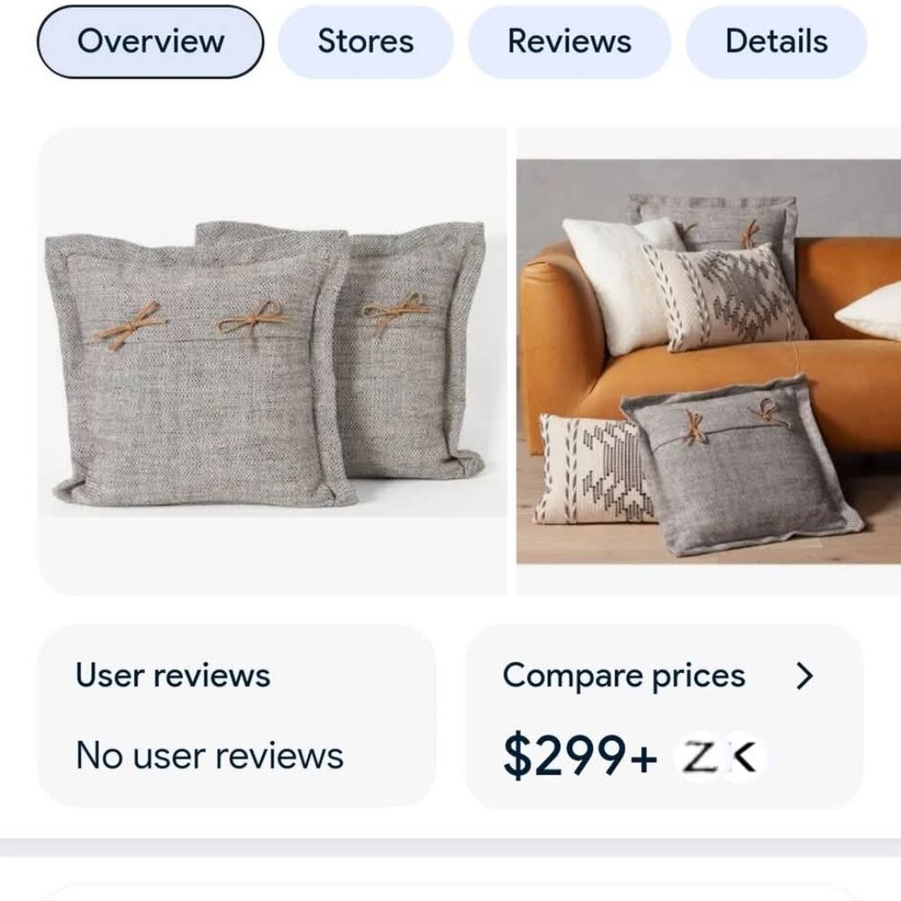 Four Hands Thames Raven Pillow